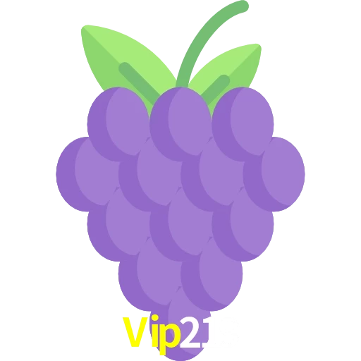 Vip219